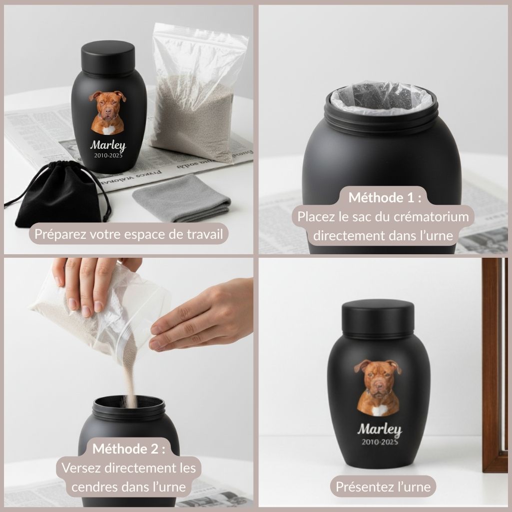 Guide visuel en quatre étapes montrant deux méthodes pour transférer les cendres d’un chien dans une urne personnalisée : soit en plaçant le sac à l’intérieur, soit en versant directement les cendres